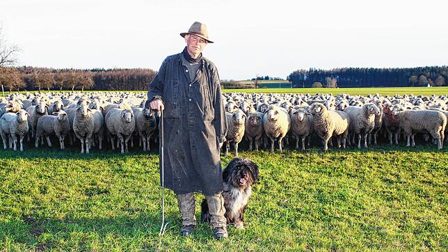 Schäfer Wolfgang Lechner mit seinem Hund Tiger vor der Schafherde. Die Begegnung mit einem Wolf sitzt ihnen noch in den Knochen.