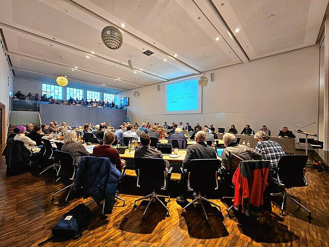 Der Gemeinderat bei seiner Sitzung im Februar dieses Jahres.