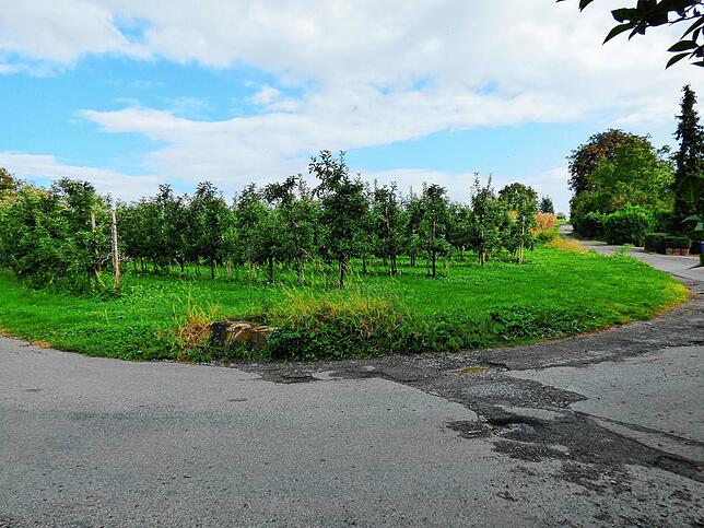 Zehn städtische Bauplätze im Riedheimer Neubaugebiet &bdquo;Torkelhalden&ldquo; werden im nächsten Jahr ausgeschrieben.