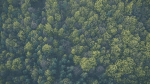 Bild : Top informiert bleiben zu allen wichtigen Themen aus dem Schwarzwald-Baar-Kreis – mit den kostenlosen Morgen-Mails unserer Redaktionen
