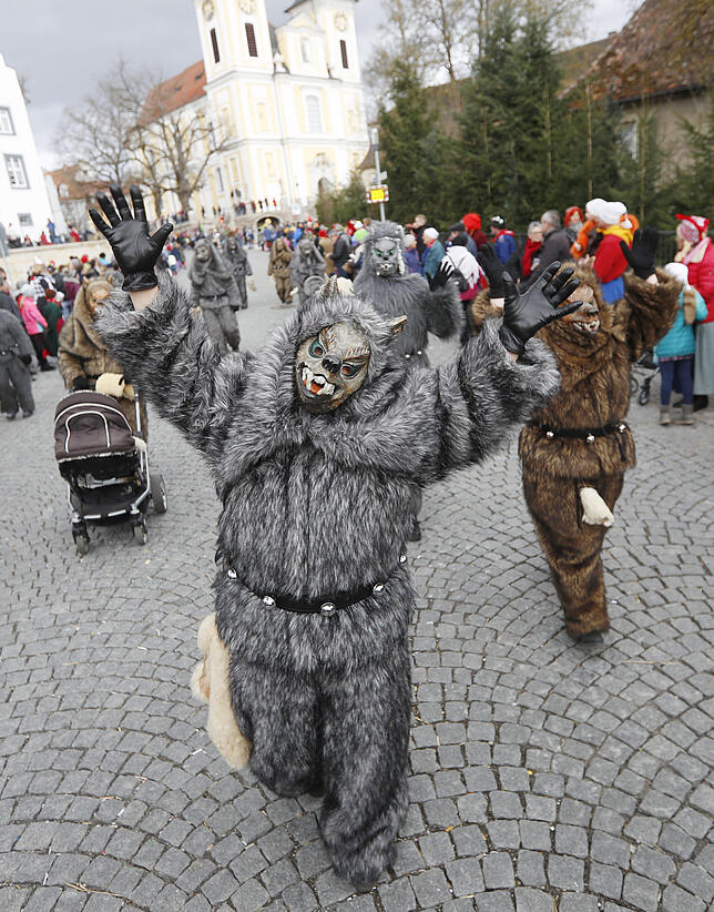 Bild 23: Bilder vom Fasnachtssonntag in Donaueschingen (Teil 2)