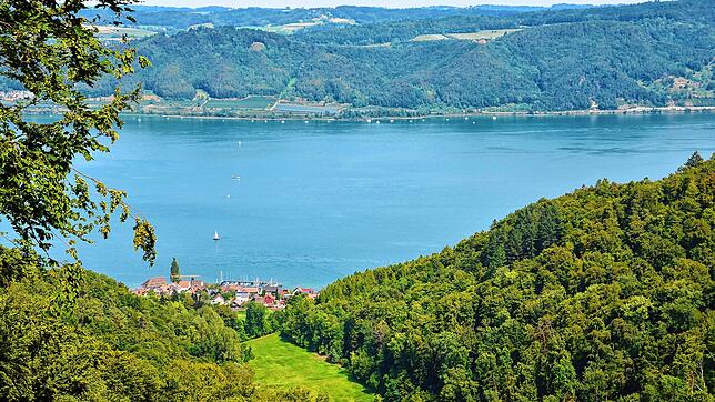 Der Bodanrück-Rundwanderweg bietet einmalig schöne Aussichten auf den Überlinger See.