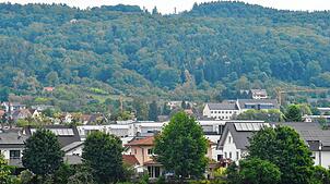 Der Rat meldet sich erneut zum Thema Windkraft auf dem Gehrenberg zu Wort. Auf diesem Foto sieht man im Vordergrund Markdorf, dahinter ...