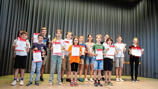 Diese jungen Musiker hatten sich der Jury gestellt beim Wertungsspiel des Bezirks Dreiländerecke des Deutschen Harmonika Verbandes. Sie ...