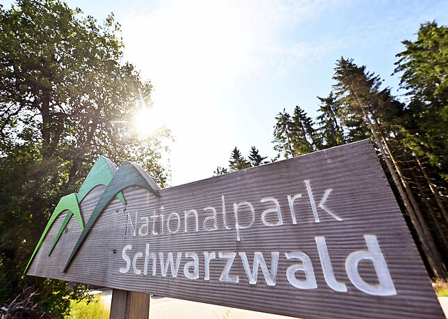 Der Nationalpark Schwarzwald lädt zu ausgedehnten Wanderungen ein.