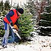 Rolf Viellieber betreibt ein landwirtschaftliches Lohnunternehmen in Heiligenberg-Hattenweiler. In der Vorweihnachtszeit verkauft er ...