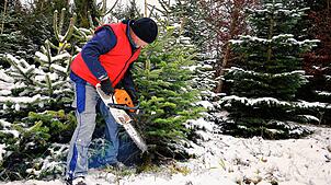 Rolf Viellieber betreibt ein landwirtschaftliches Lohnunternehmen in Heiligenberg-Hattenweiler. In der Vorweihnachtszeit verkauft er ...