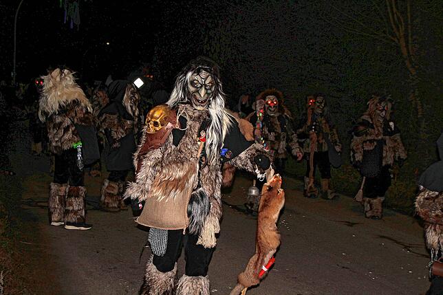 Bild 35: Bilder vom Nachtumzug beim Kleggau-Narrentreffen am Samstag