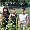 Das Familienzentrum Hochrhein in Lauchringen ist mit seinem Abenteuerland Teil der bundesweiten Aktion &bdquo;GemüseAckerdemie&ldquo;. ...