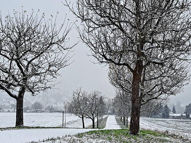 Der erste Schneefall des Jahres in Engen.