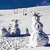 Er ist der höchste Berg im Schwarzwald: Hat immerhin der Feldberg hohe Weiße-Weihnachts-Chancen?