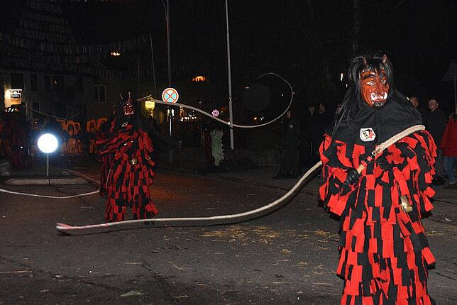 Bild 5: Narrentreffen der Urviecher-Zunft: Bilder vom Eröffnungsumzug (2)