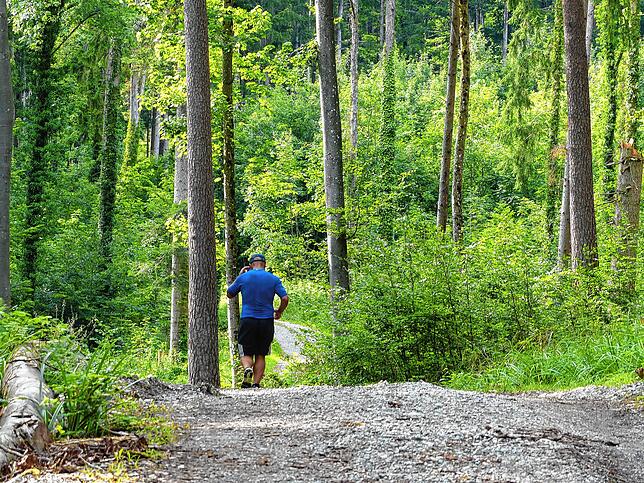 Erholung pur bietet der Gehrenberger Wald, trotz sportlicher Anstrengung – oder gerade deswegen.