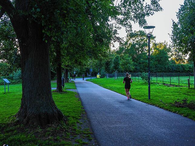 Dieser Weg führt vom Eriskircher Ried nach Friedrichshafen; hier auf Höhe des Hinteren Hafens lädt er zum Joggen oder Spazieren ein.