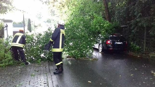 Bild 5: Schweres Unwetter in Konstanz: Als sich ein Abend anfühlte wie ein Weltuntergang
