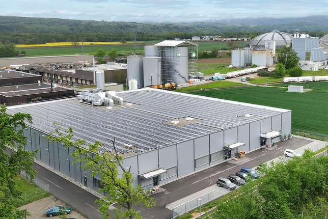 Auf dem Dach der Produktionshalle von Swiss Shrimp wird Solarstrom erzeugt.