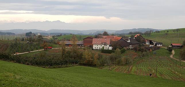 Der Hof in Alberweiler (vorderes Haus). Hier wirkte einst Michael Betzle als Landwirt.