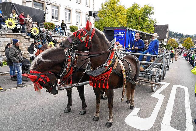 Bild 7: Kreiserntedankfest Brigachtal: Die schönsten Bilder vom Umzug – Teil 2