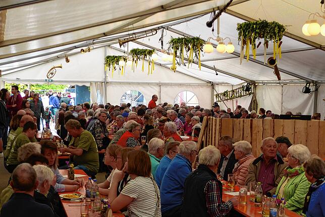 Bild 9: Bezirksmusikfest in Riedern am Wald - Musikverein feiert 160-jährige Jubiläum