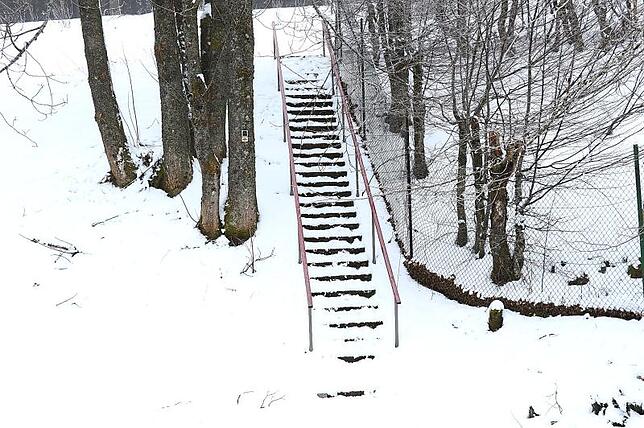 Marode sein soll diese Treppe von der Alten Straße zur Wassertretstelle, auch diese wollen die Aktivisten im frühen Sommer sanieren. ...