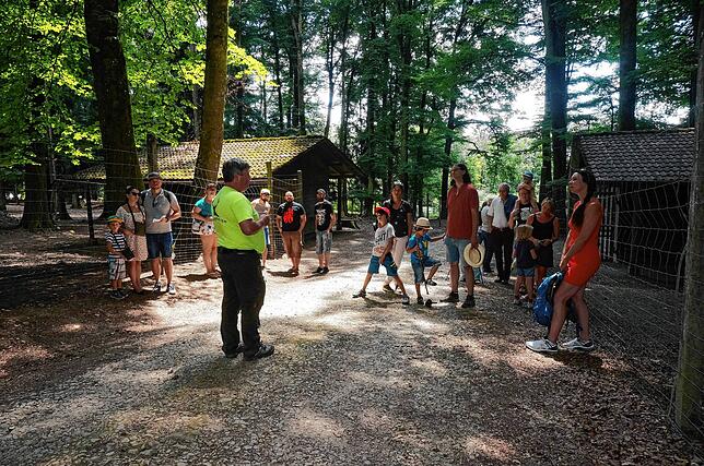 Bild 3: Alle Bilder: 50 Jahre Wildgehege Waldshut &ndash; Teil Eins