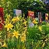 Symbiosen von Kunst und Natur: Im Stadtgarten gibt es derzeit eine Freiluftausstellung zu entdecken. Bild: Stadt Singen