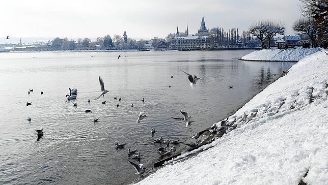 Bild 19: Ein Traum in Weiß: Das Konstanzer Wochenende im Schnee