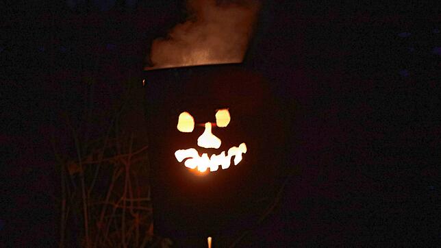 Bild 19: Konstanzer Fasnacht: Bilder vom Fackelumzug durch den Uniwald