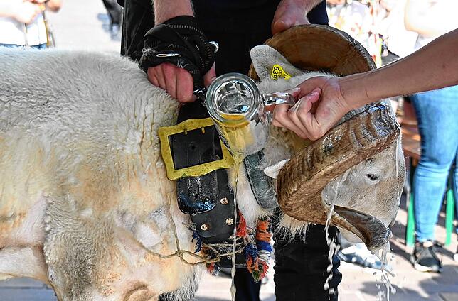 Bild 35: Die schönsten Bilder der Bocktaufe der 556. Waldshuter Chilbi – Teil 1