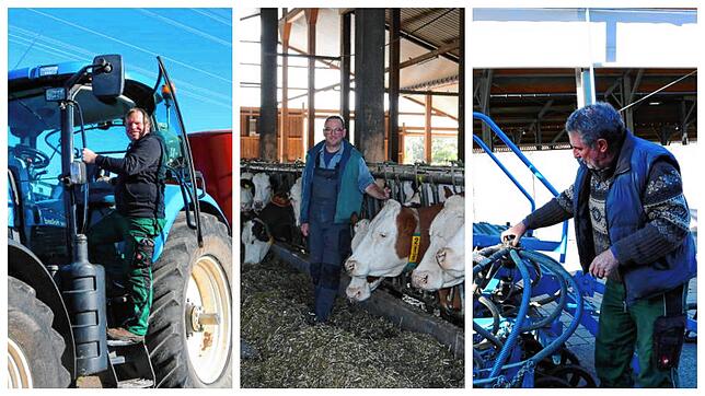 Lothar Seiffert, Uwe Münzer und Bernhard Bolkart spüren die Auswirkungen von Hitze und Trockenheit auf die Landwirtschaft.