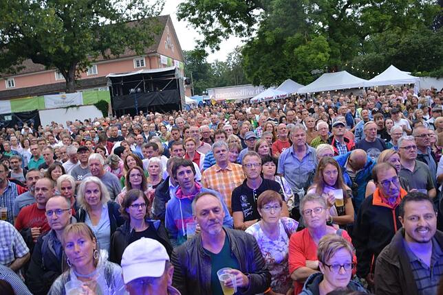 Bild 18: Das Sommersinnfonie-Konzert mit den The Dire Straits Experience in Bildern