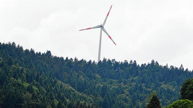 Fröhnd war die erste Gemeinde im Landkreis, in der ein Windrad in Betrieb ging. Geht es nach Bürgermeister Engesser sollen weitere dazu ...
