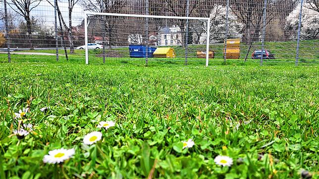 Mehr Wiese als Sportrasen auf dem Bolzplatz in Brennet.