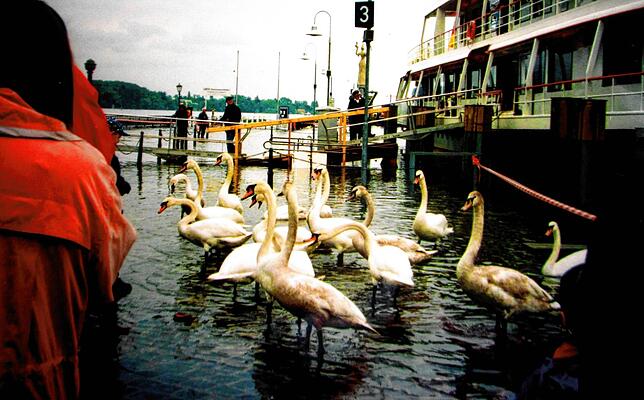 Bild 16: Archivbilder vom Hochwasser 1999 in Konstanz!