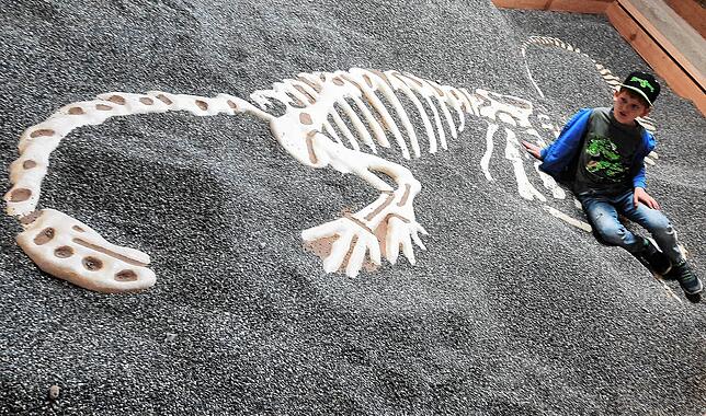 Tim Liam hat im Ausgrabungsfeld das Skelett eines Plateosaurus freigelegt. Für die Kinder gibt es extra einen Raum, in dem sie selbst ...