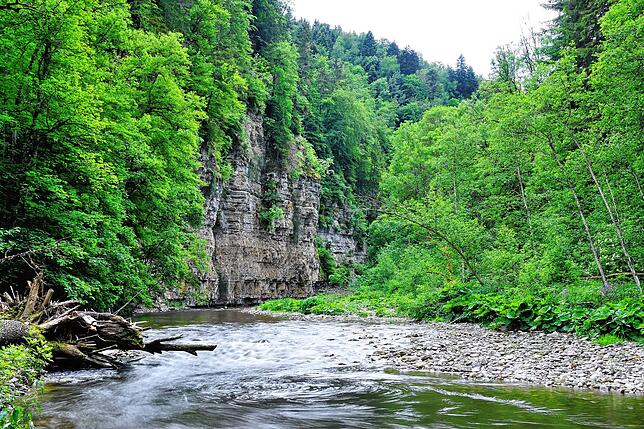 Die idyllische Wutachschlucht ist ein Paradies für Wanderer und Naturliebhaber.