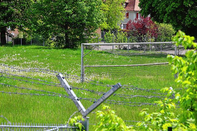 Von hier aus im Süden soll sich der Bürgerpark des neuen Gebietes Am Buchberg irgendwann bis ans nördliche Ende des Areals ziehen.