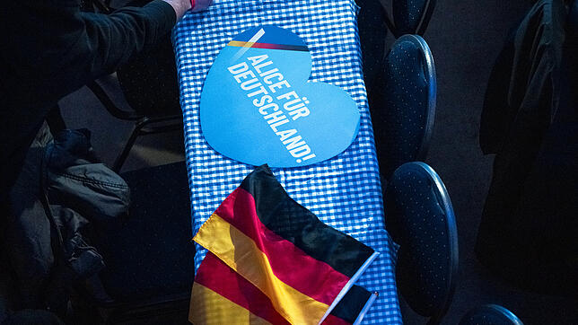 Während manch einer in der Gegenwart noch von einer Kanzlerkandidatin Alice Weidel träumt, ist die AfD in Timur Vermes‘ neuem Roman ...