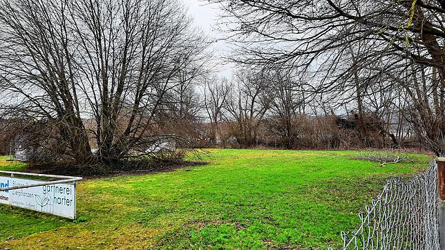 Auf dieser Wiesefläche beim Fußballplatz und der Skateranlage, die hier hinter dem Baum links ist, in Bodman möchte die Hundesportgruppe ...