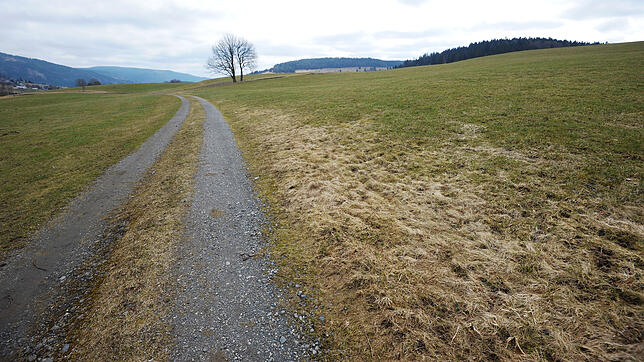 Hier sollen Ein- und Mehrfamilienhäuser entstehen. Foto: Steffen Schmidt