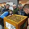 Zog vor allem Fachpublikum an: Bei den Berufs- und Erwerbsimkertagen, hier im Jahr 2018, drehte sich alles um Bienen und die Imkerei.
