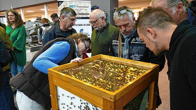 Zog vor allem Fachpublikum an: Bei den Berufs- und Erwerbsimkertagen, hier im Jahr 2018, drehte sich alles um Bienen und die Imkerei.