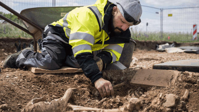 Bild : Archäologen finden Skelette sowie Teile eines Galgens bei Allensbach. Nun ermitteln sie, wie die Verurteilten zu Tode kamen.