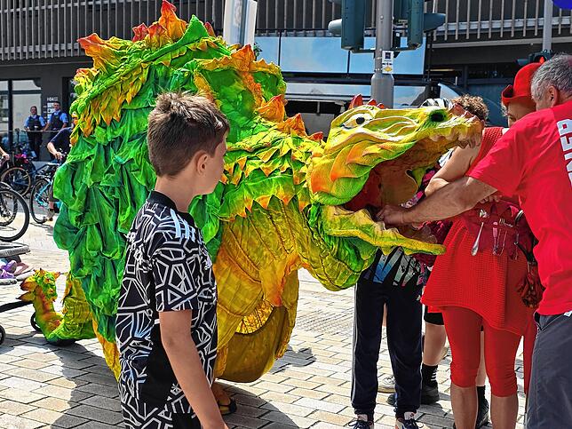 Bild 19: Bilder von 20. Slow-up am Hochrhein