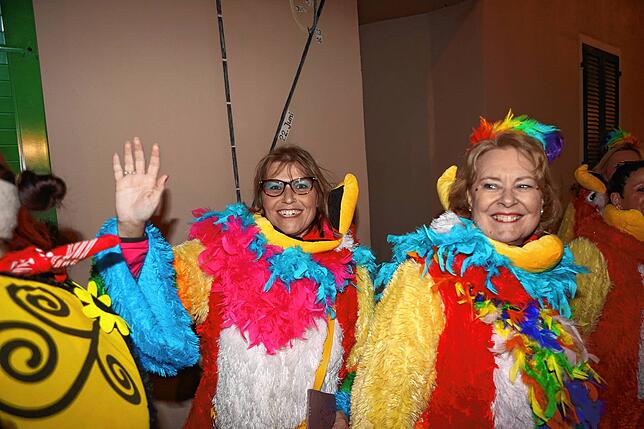 Bild 28: Große närrische Sause beim Seenarrentreffen 2024 in Allensbach
