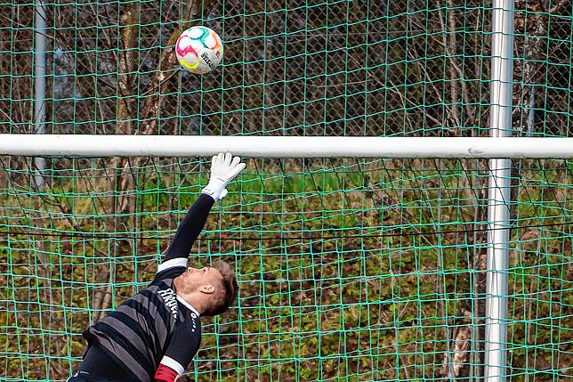 Bild 29: FC Erzingen verliert Partie gegen FV Herbolzheim nach 2:0-Führung mit 2:4 &ndash; und wir haben Bilder!