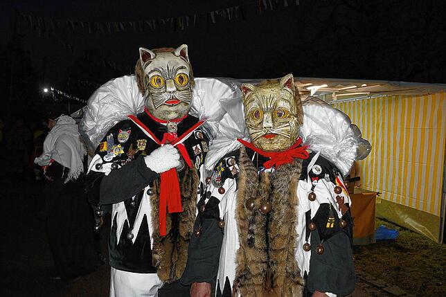 Auch die Meßkircher Katzenzunft war der Einladung der Bietinger Bachrosen zum Nachtumzug gefolgt.