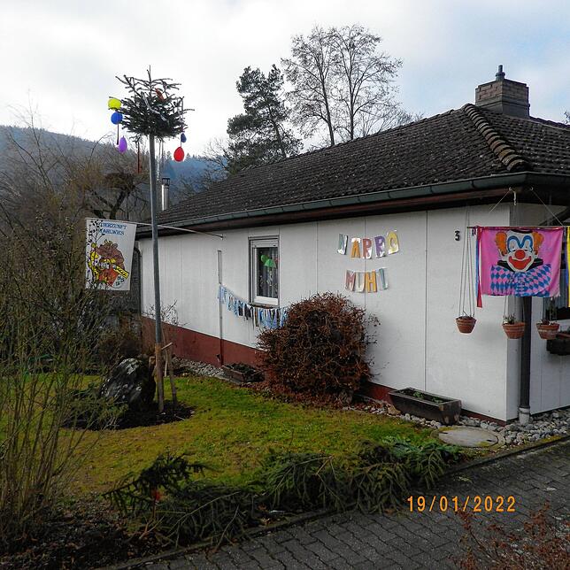 Ein sechs Meter hoher Narrenbaum beim Haus Märte in Wahlwies