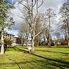 Durch den Park des Luxus-Hotels von Investor Hans Jürg Buff soll ein öffentlicher Weg führen. Buff stellt Forderungen und die Stadt will ...