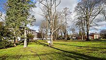 Durch den Park des Luxus-Hotels von Investor Hans Jürg Buff soll ein öffentlicher Weg führen. Buff stellt Forderungen und die Stadt will ...